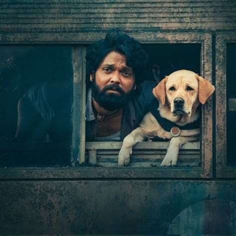 levelbook 777 movie download|Hindi version of Rakshit Shetty’s 777 Charlie now streaming for free.